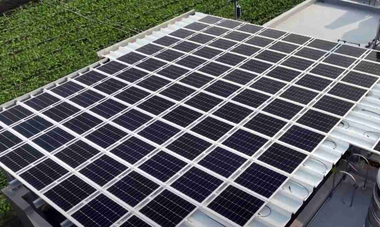 尊时凯龙SunSteel光电浪板升级双玻结构，，，以提升机械负载强度及气候耐候度，，，可广泛运用于多元场域